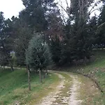 D.g. Garden Otel Benevento