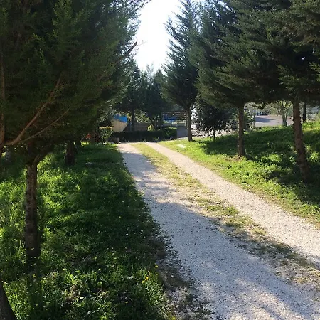 D.g. Garden 4* بينيفنتو
