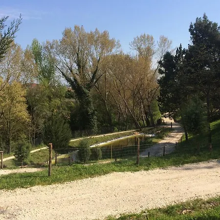 D.g. Garden Benevento