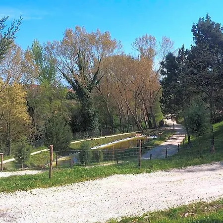 D.g. Garden