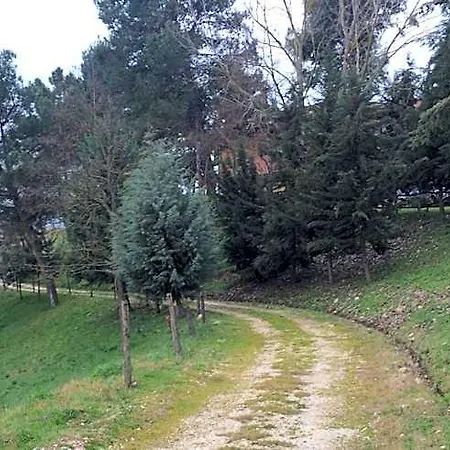 D.g. Garden Hotel Benevento